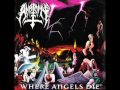 Anatomy - Where Angels Die (FULL ALBUM) 