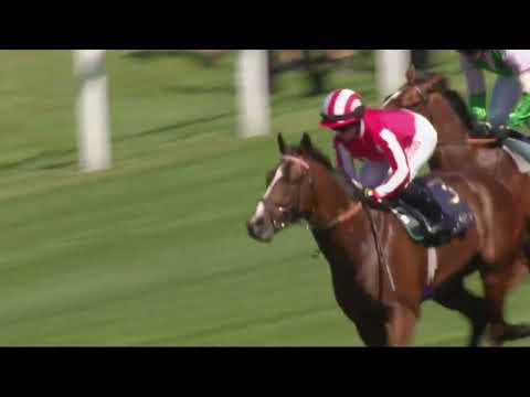 2022 Coventry Stakes G2 - Bradsell (調酒源流) - H.Doyle