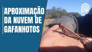 Miniatura do vídeo