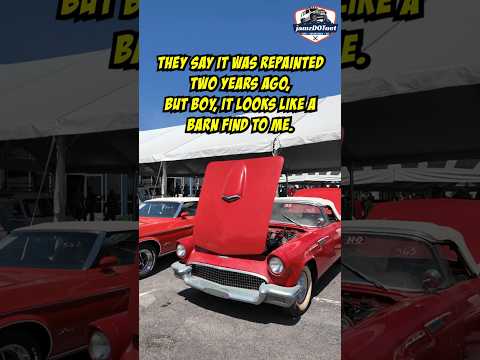 Thumbnail for Would You Drive This 1957 Ford Thunderbird? by R.E.M., Ride