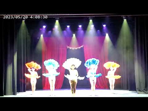 "Wild Side Feather Fans" - Stage