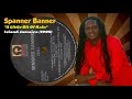 Spanner Banner - A Little Bit Of Rain (Island Jamaica) 1995