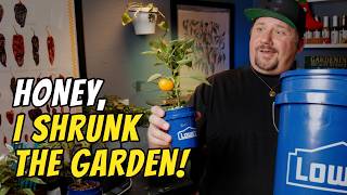 Tiny Buckets, Big Flavor: Growing Peppers Anywhere!