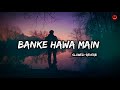 Banke Hawa Main Slowed And Reverb Instagram Viral Song Rooh E Dari AsMusic5718
