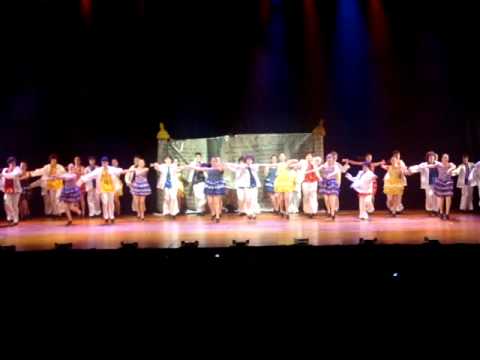 13° Choref 2010 - Ameinu