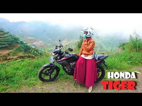 Apa patogen perempuan Tetes potensi alam