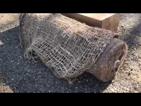 download lagu mp3 mp4 Jute Netting Roll, download lagu Jute Netting Roll gratis, unduh video klip Jute Netting Roll