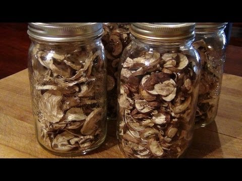 How to dehydrate mushrooms