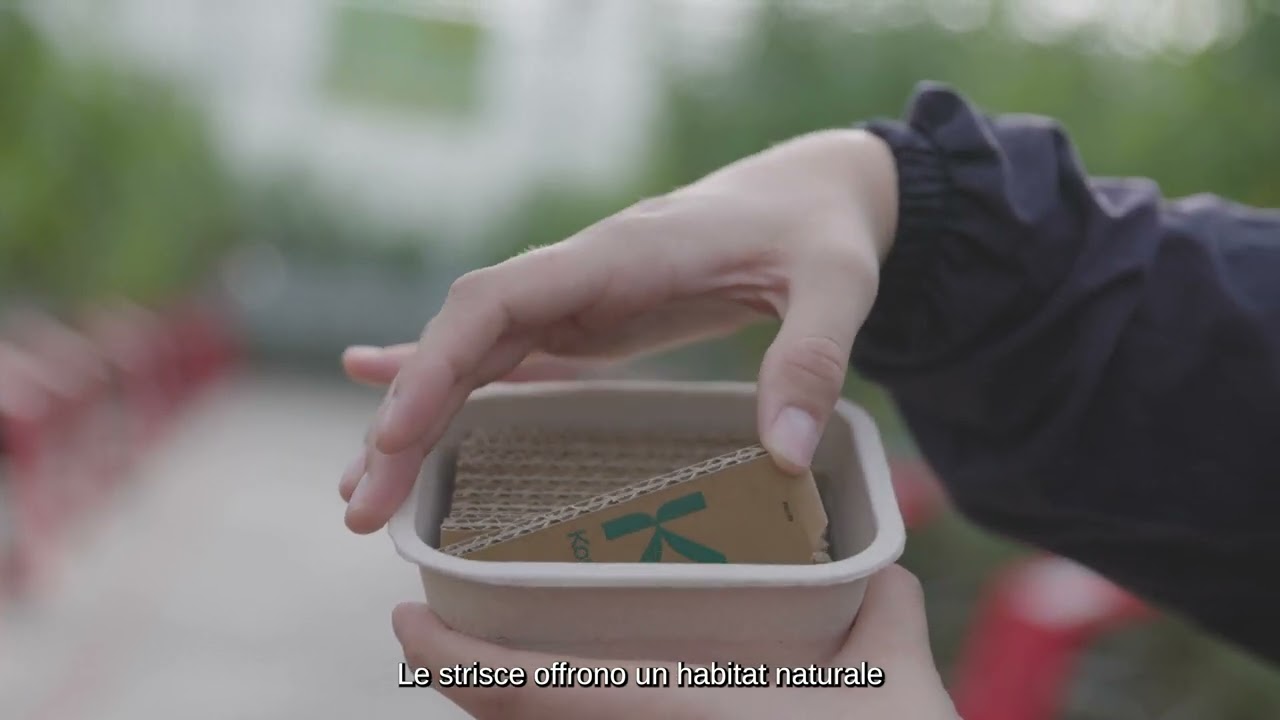 Video preview poster