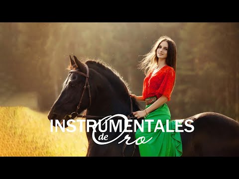 LAS 500 MELODIAS ORQUESTADAS MAS BELLAS DE TODOS LOS TIEMPOS - MUSICA QUE YA NO SE OYE EN LAS RADIOS