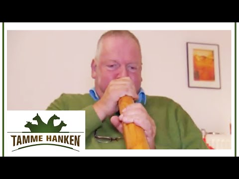 , title : 'Tamme Hanken lernt Didgeridoo spielen! | Tamme Hanken | Kabel Eins'