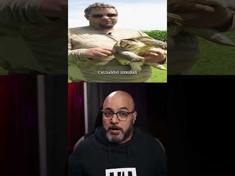 Haz esto si te ha mordido una tortuga #shorts #animals