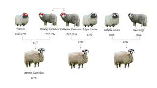 Wuthering Heights Linton Sheep Family Tree