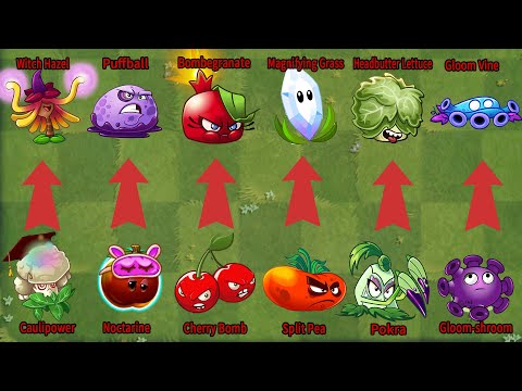 PvZ 2 Gameplay | Super Plants Evolution WEAK Vs STRONG - Plant vs Plant