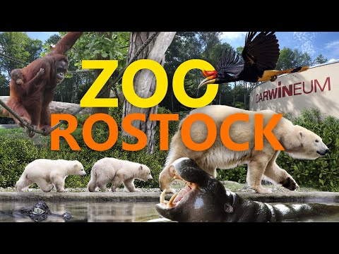 Zoo Rostock - Einer der besten Zoos Europas? | Zoo-Eindruck