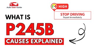 dtc p245b quickly Fix