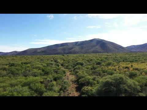 CAMPO DE MONTAÑA. CHARBONIER-CORDOBA