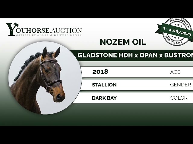 Nozem Oil