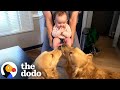 Dogs Who Love Their Babies The Dodo