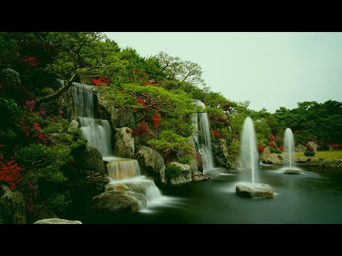 relaxing waterfall with birds sound.🌲🌲🐦🐦.relaxing music.stress relief music.meditation.calm.sleep.