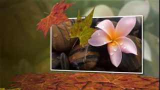 Blackmore&#39;s Night --   ♫ World  Of Stone ♫