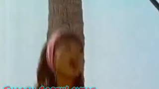 Download lagu In Akhon Mein Tum Arif Rahman dan Penty Nur Afiani mp3