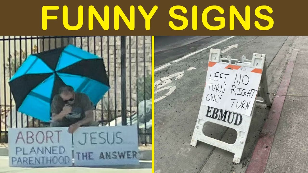 Signs That Might Make You Scratch Your Head (Best Of All Time) | Happy Bears