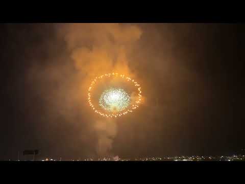 Maltese multi-break shell Mqabba Malta 2023