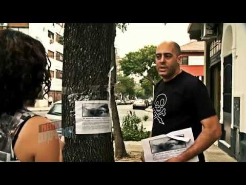 Prestico - Preguntas boludas (Completo)