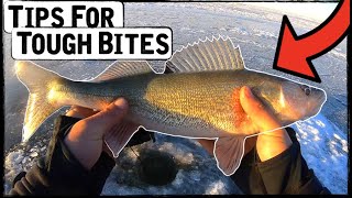 First Ice Walleye Fishing Tips