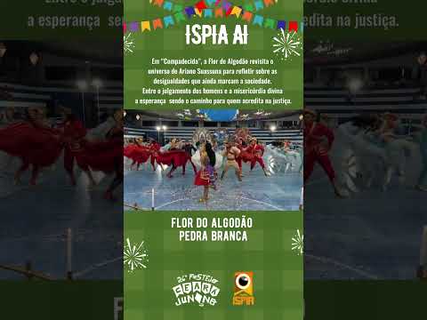 Flor de Algodão - Pedra Branca | 26º Festejo Ceará Junino