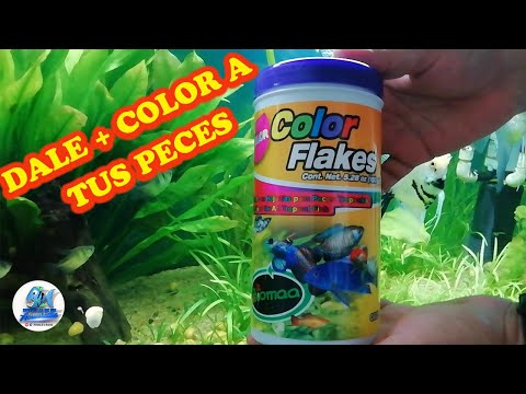 thumbnail video image 2 of Hojuelas Aqua Flakes 100gr BIOMAA, 2 of 3