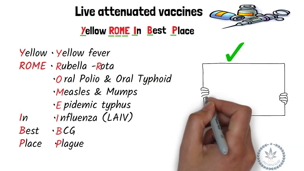 vaccination and immunization | Important information on vaccinations you need to know | Made easy