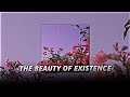 The Beauty Of Existence Nasheed Slowed Reverb