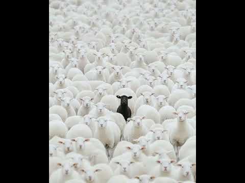 RAPPER TABAAH 2.0  || Urdu Rap 2025