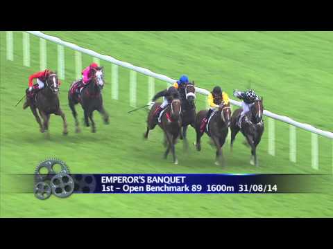 Longines Singapore Gold Cup 2014 Contenders (Emperor's Banquet)