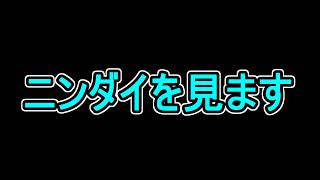 ニンダイを見ます