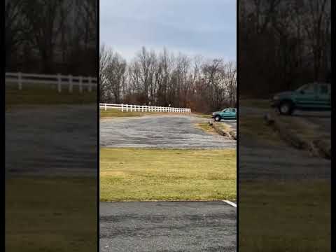 Thumbnail for F-150 Almost Flips Trying to Drift #shorts by ZENN