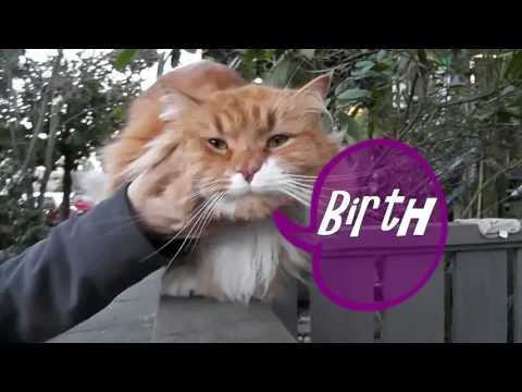 Sharon's Birthday Gift