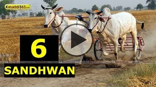 (1) Sandhwan (Nawanshahr) Ox Race 17 May 2015