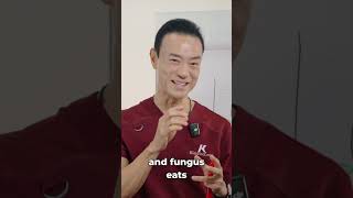 STOP Toenail Fungus With THIS Daily Habit #shortsvideos #nailfungus #homeremedy