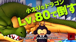 【ドラクエ10】低レベル天地雷鳴士でドラゴンサポ討伐　シシマル　DQX実況（ドラゴンクエストX）