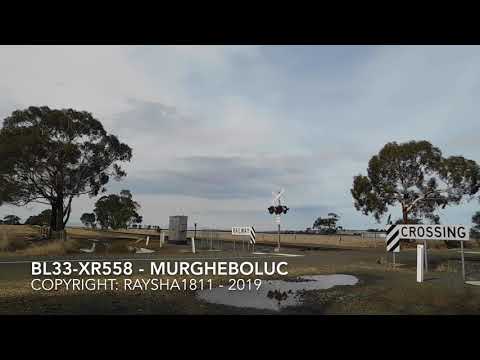 7731V - BL33-XR558 (Grain) Murgheboluc - Australian Trains by Raysha1811
