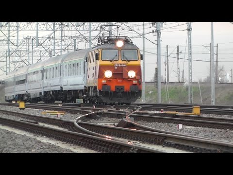 "Rodzyn"  EP09-046  / EP07-442