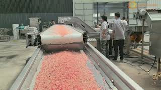 Industrial Pomegranate Peeler Machine & Deseeder Machine