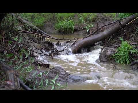 Unreal Rainfall in Los Angeles Record Set March 2023 - Hollywood Hills