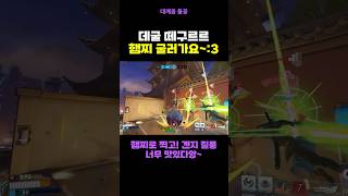 햄찌는 당신을 놓치지 않을 거에요~!