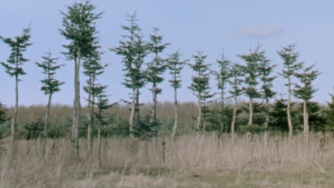 WE BLEW IT AT SOME POINT: El Vídeo completo de Polar Skate Co