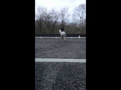 BE90 Dressage Test 95 (2012) - Cous Cous & Mark Boxall