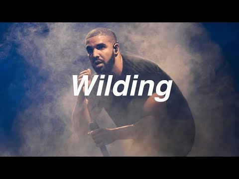 SOLD | Drake type beat x Hard Hitting 808 | "Wilding" 164 bpm